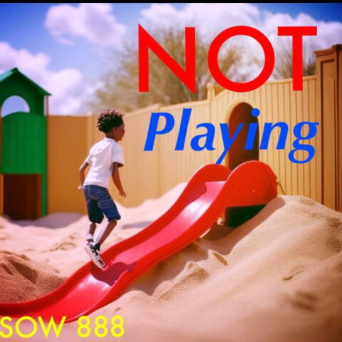 Not Playing (Radio Edit)