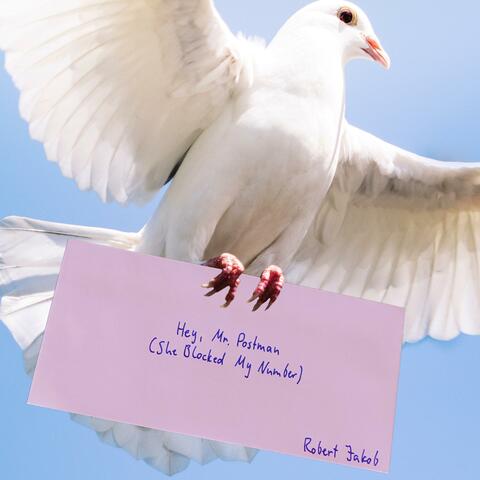 Hey, Mr. Postman (She Blocked My Number)