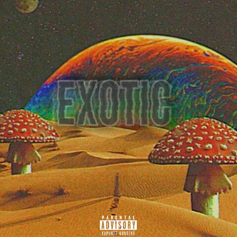 Exotic (feat. Kel Vo)