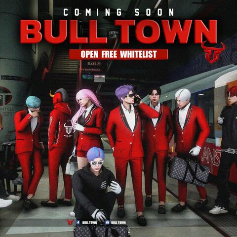 BULL TOWN