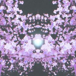 an angel of flowers descends