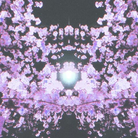 angel of flowers
