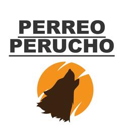 perreo perucho (feat. deejay bandido & deejay solitary)