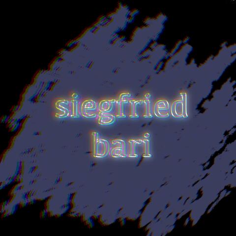 siegfried bari