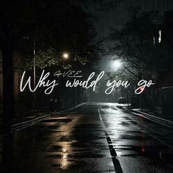 Why Would You Go