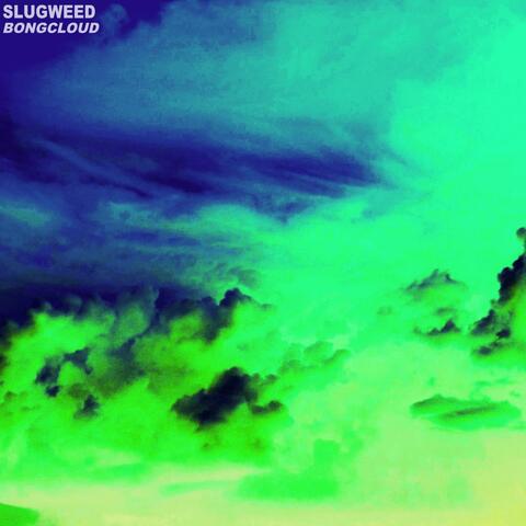 Bongcloud