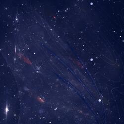 What You Really Think