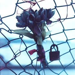 write your name across the sky.