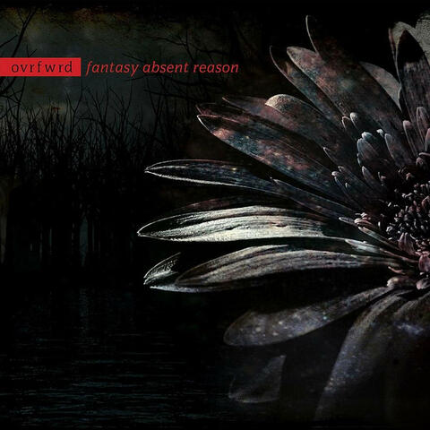 Fantasy Absent Reason