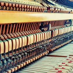 Daizy (feat. Layla Rose)