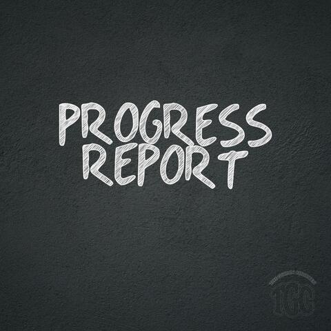 Progress Report