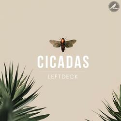 Cicadas
