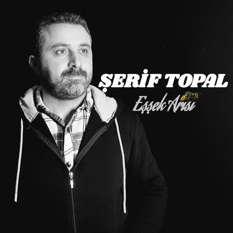 Şerif Topal Eşşek Arısı
