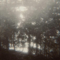 A Place For You (feat. Wounded Youth)