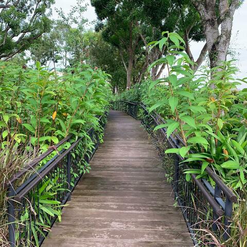 Just A Closer Walk With Thee