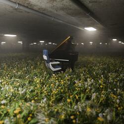 JUSTE UN PEU DE BRUIT