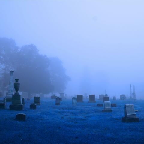 the bitterest tears shed over graves are for words left unsaid and deeds left undone