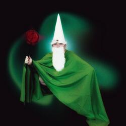 Crawly The Green Wizard Gnome