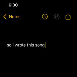 so i wrote this song