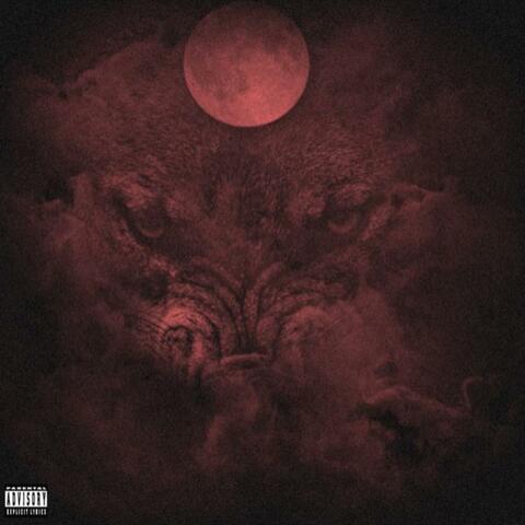 WULF OF THE EAST 2