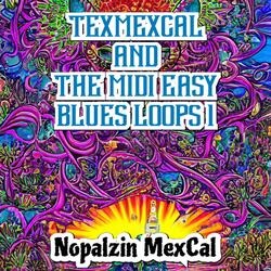 Texmexcal And The Midi Easy Blues Loops 1