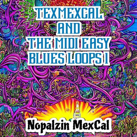Texmexcal And The Midi Easy Blues Loops 1
