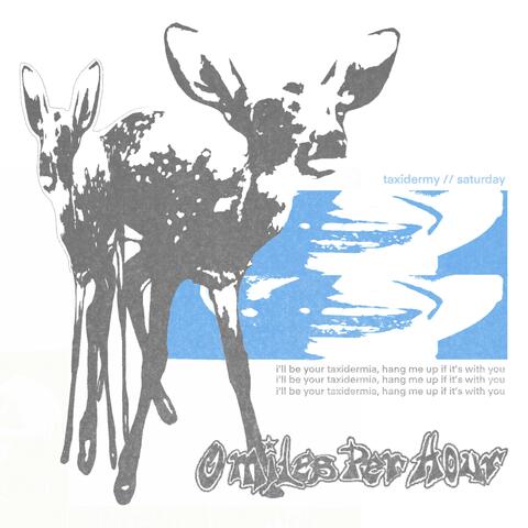 Taxidermy // Saturday