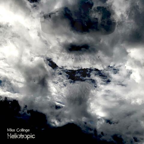 Heliotropic