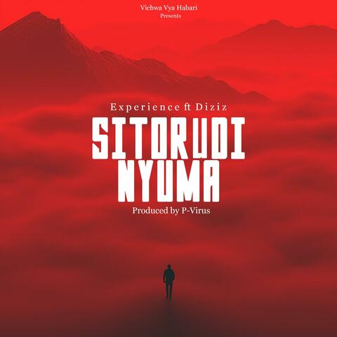 Sitorudi Nyuma (feat. Diziz)