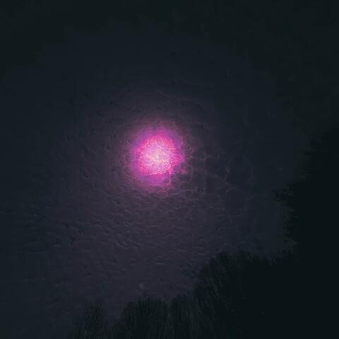 Violet Eyes