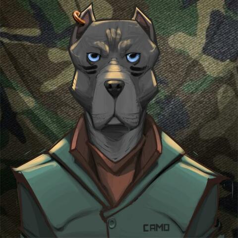 Camoflauge