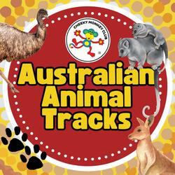 Australian Animal Tracks