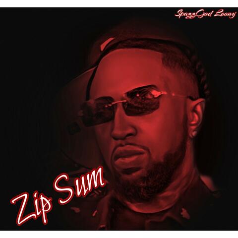 Zip sum