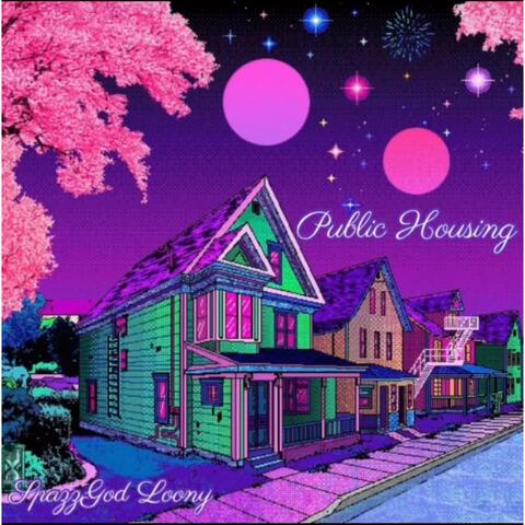 Public Housing