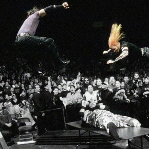HARDY BOYZ