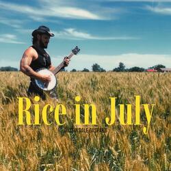 Rice In July