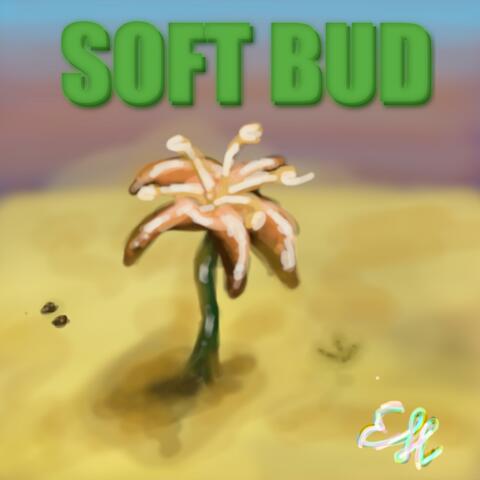 Soft Bud