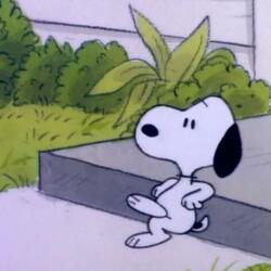 A Bad Day Is Not A Bad Life