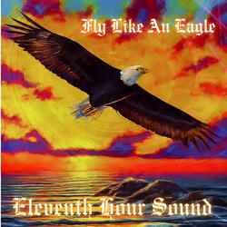 Fly Like An Eagle
