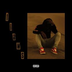 flaws (feat. Aco Draco)