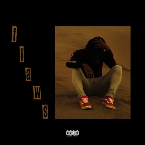 flaws (feat. Aco Draco)