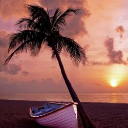 Bossa Nova Backing Track in Am