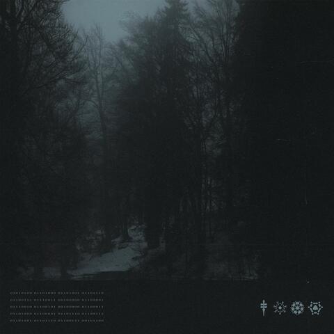 Nocturne