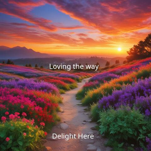 Loving the way (A journey from irritation to gratitude)