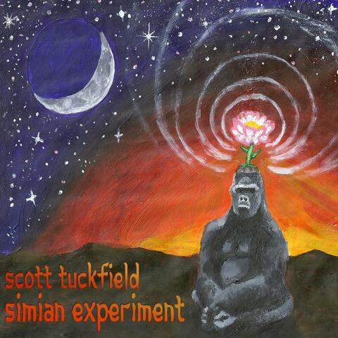 Simian Experiment