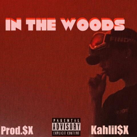IN THE WOODS