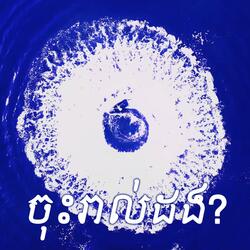 ចុះរាល់ដង?