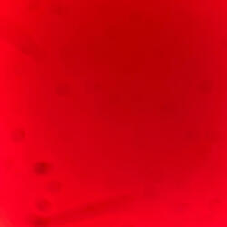 Up By 2 (feat. BabySmaxk)