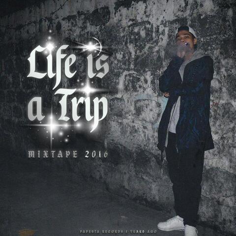 Life is a Trip