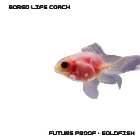 Future Proof :: Goldfish